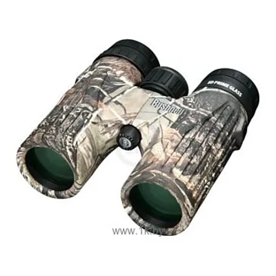 Bushnell Legend Ultra HD 8x36