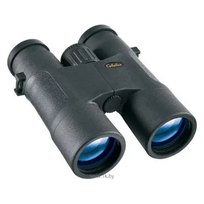 Cabela's XT 10x42